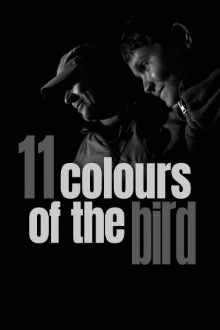 11 Colours of the Bird