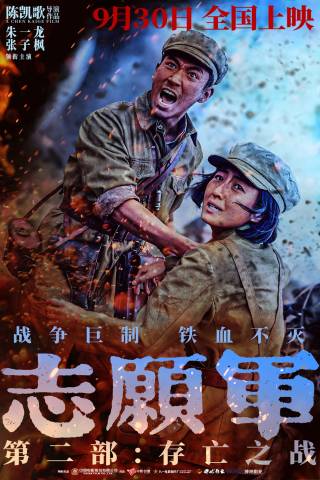 The Volunteers: The Battle of Life and Death